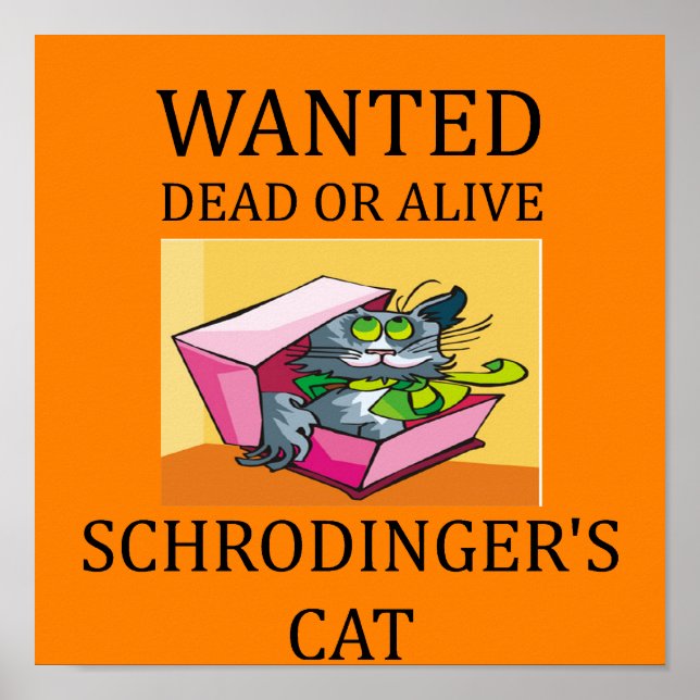 Póster chiste del gato de schrodinger (Frente)