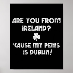 Póster Chiste divertido de San Patricio inapropiado para
