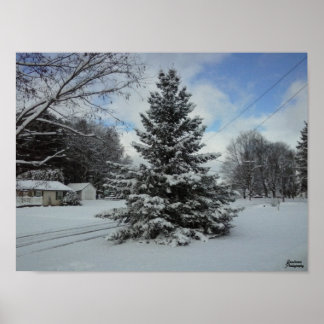 Póster Chistmas Tree uncut