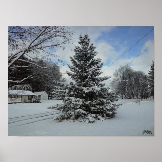 Póster Chistmas Tree uncut (Frente)