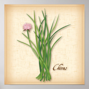 Póster Chives Herb Poster