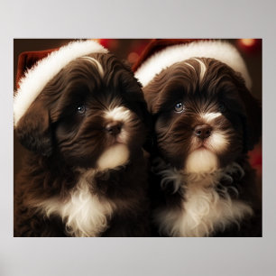 Póster Chocolate HavaHug Navidades Havaneses Rompecabezas
