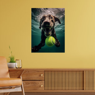 Póster Chocolate Lab Buceo Subacuático