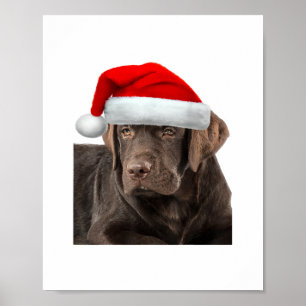 Póster Chocolate Lab Shirt Labrador Recuperador Perro Chr