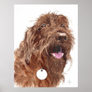 Póster Chocolate Labradoodle #1 Canvas print