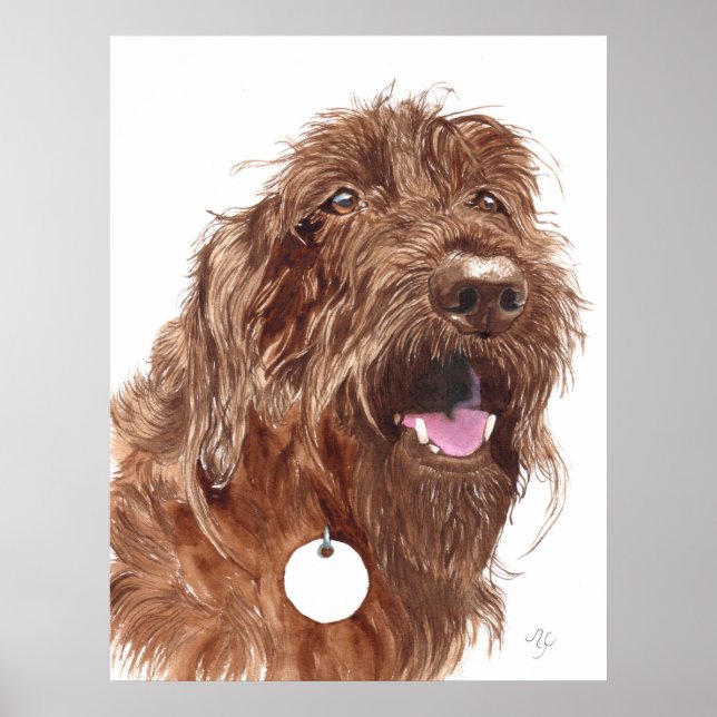 Póster Chocolate Labradoodle #1 Canvas print (Frente)