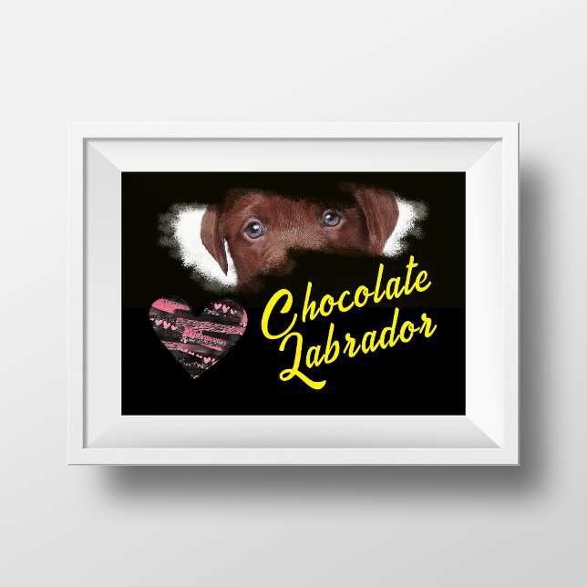 Póster Chocolate Labrador Ojos Color sólido (Subido por el creador)