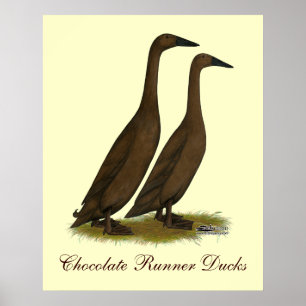 Póster Chocolate Runner Ducks