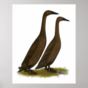 Póster Chocolate Runner Ducks