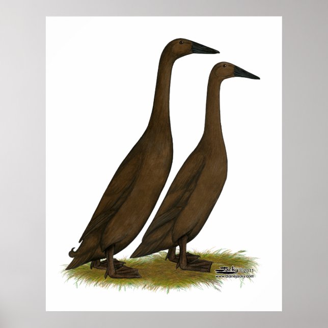 Póster Chocolate Runner Ducks (Frente)