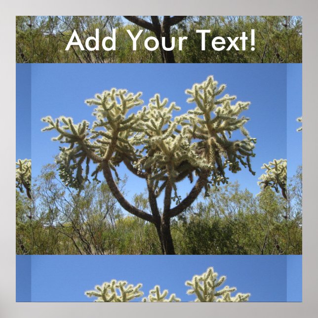 Póster Cholla Cactus (Frente)