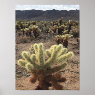 Póster Cholla Cactus Joshua Tree Park Photo