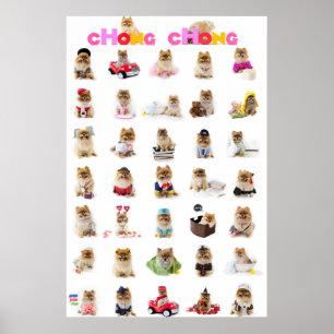 Póster Chong Chong Poster