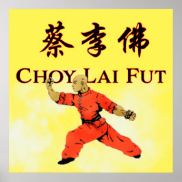 Póster Choy Lai Fut