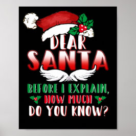 Póster Christmas Dear Santa Before I Explain How Much
