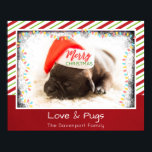 Póster Christmas Pug in Santa Hat with Christmas Lights<br><div class="desc">A poster with an adorable photo of a pug puppy sleeping while wearing a santa hat. Merry Christmas is written on the band of his hat, in a trendy handwritten font. A grunge border with colorful Christmas lights surround the frame of this cute photo. The background is a festive candy...</div>
