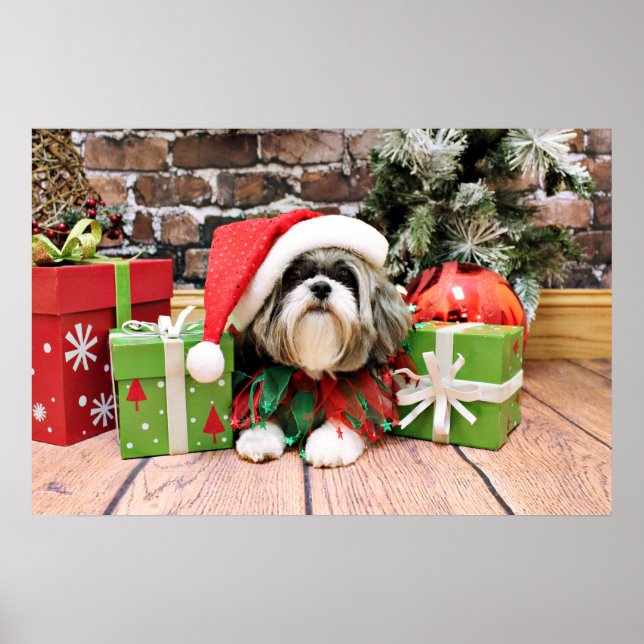 Póster Christmas - Shih Tzu - Vince (Frente)