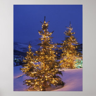 Póster Christmas trees, Park City, Wastch Mountains, 2