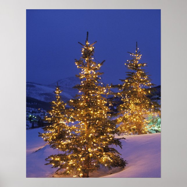 Póster Christmas trees, Park City, Wastch Mountains, 2 (Frente)