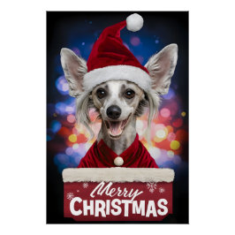 Póster Christmas with Chinese Crested Dog