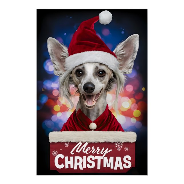 Póster Christmas with Chinese Crested Dog (Anverso)