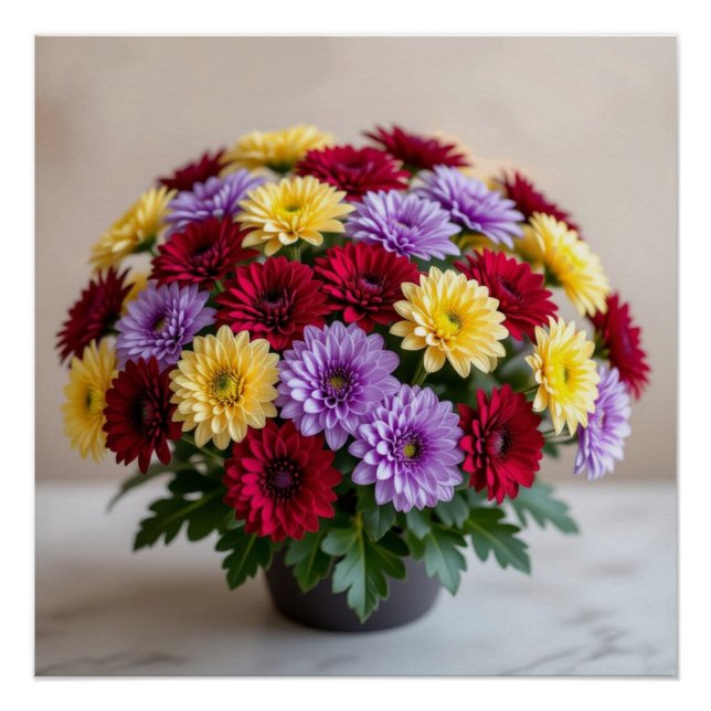 Póster Chrysanthemum (Anverso)