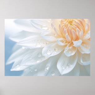 Póster Chrysanthemum Flor Naturaleza del Petar Sereno