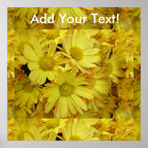 Póster Chrysanthemum Group Plant Yellow