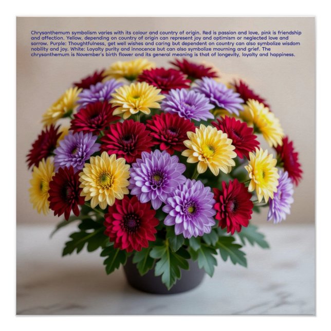 Póster Chrysanthemum Symbolism (Anverso)
