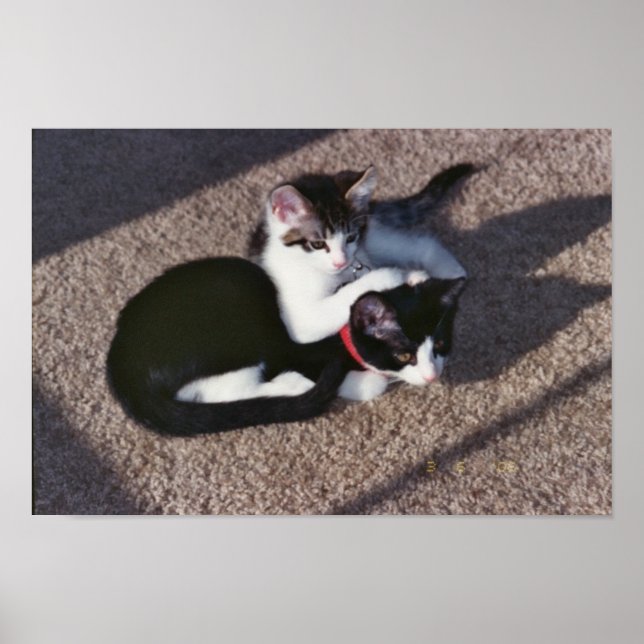 Póster Chuda y Sami (Frente)