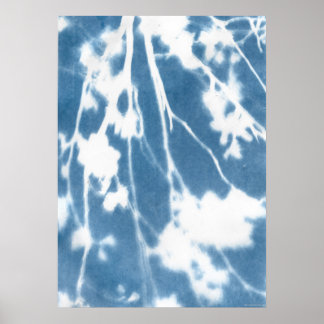 Póster Cianotipo azul Japón Flor de cerezo Vintage inspir
