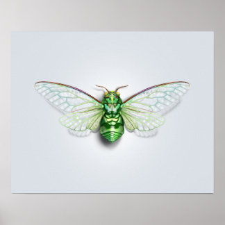 Póster Cicada