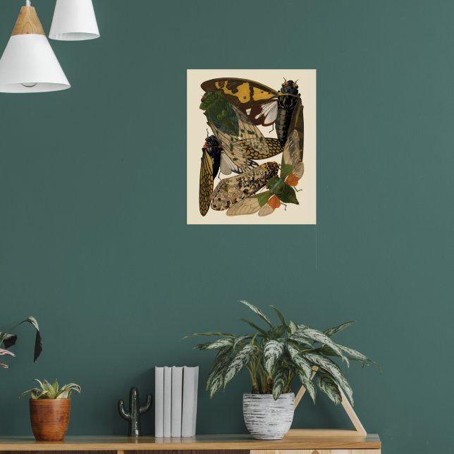 Póster Cicadas Insects Vintage 1929 Illustrations (Salón 1)