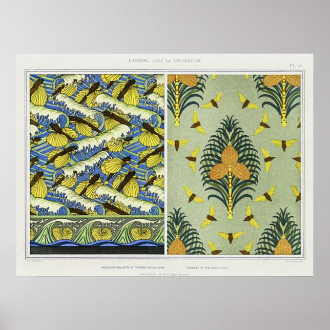 Póster Cicadas, peces voladores y conchas de Nautilus (Frente)