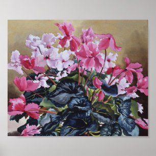 Póster ciclamen 2004