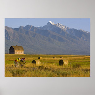 Póster Ciclistas en carretera recorren camino de vuelta a