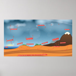 Póster Ciclo de agua