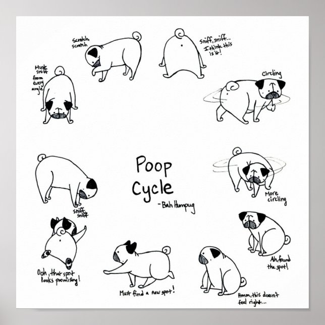 Póster Ciclo de poop (Frente)