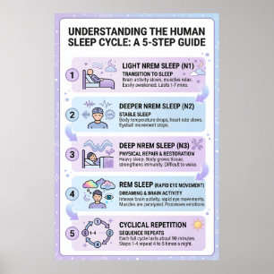 Póster Ciclo de Sueño Humano: Una Infografía Guía de 5 Pa