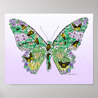 Póster Ciclo de vida de la mariposa