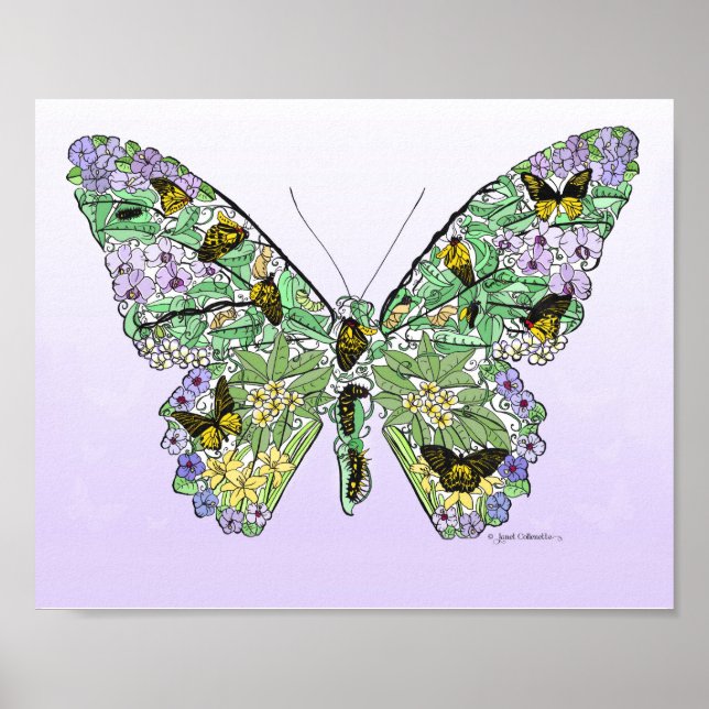 Póster Ciclo de vida de la mariposa (Frente)