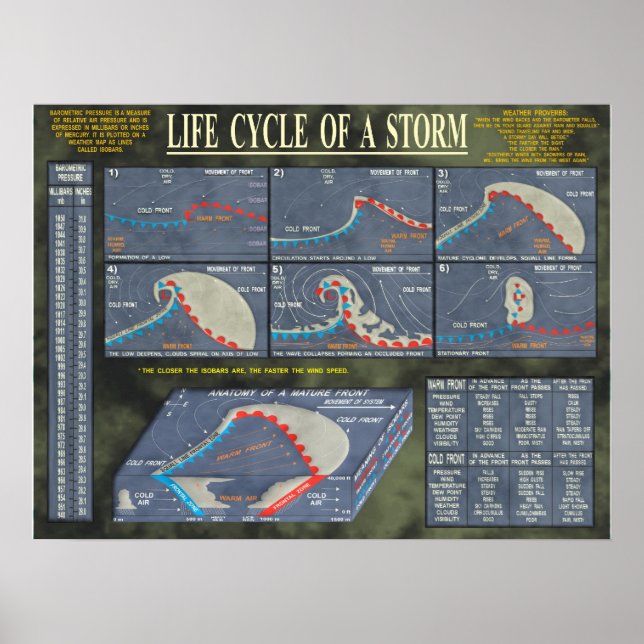 Póster Ciclo de vida de una tormenta (Frente)