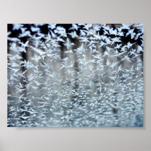 Póster Ciclos de invierno