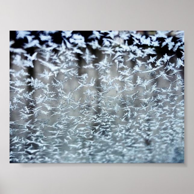 Póster Ciclos de invierno (Frente)