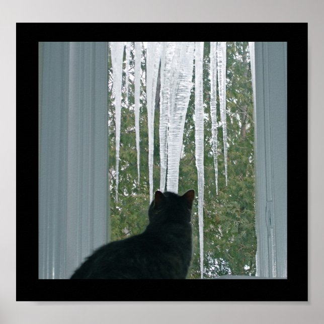 Póster Ciclos de invierno (Frente)