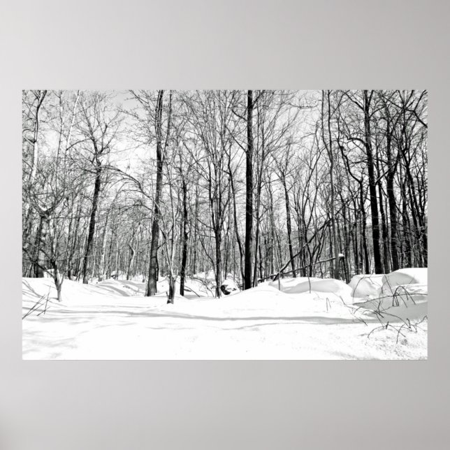 Póster Ciego de nieve (Frente)