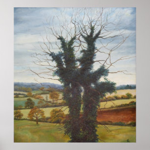 Póster Cielo 1998 del invierno