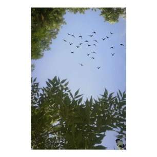 Póster Cielo azul natural con aves y árboles