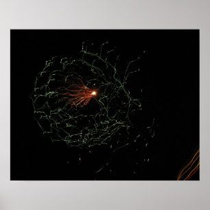 Póster Cielo chispeante 2