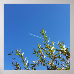 Póster cielo claro